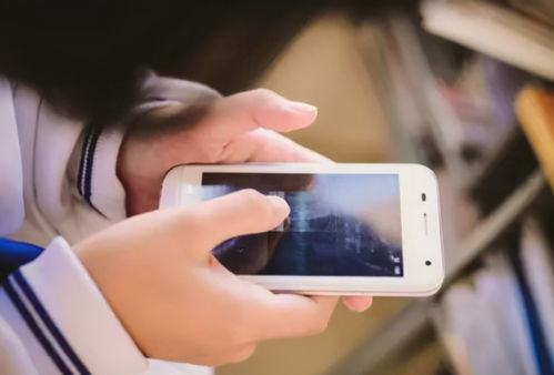 明碼標價的社交軟件,高潮過后, 約會神器 還能紅多久