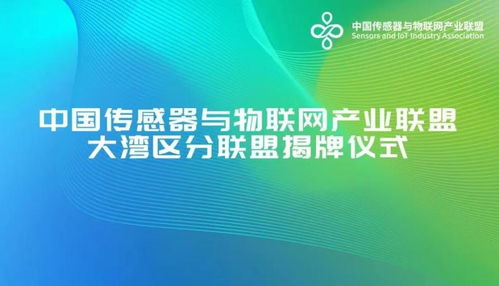 深圳搶位智能賽道, 國(guó)字號(hào) 聯(lián)盟大灣區(qū)分聯(lián)盟落戶(hù)